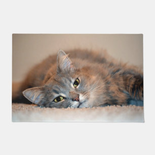 Long Haired Blue Russian Cat by Shirley Taylor Doormat