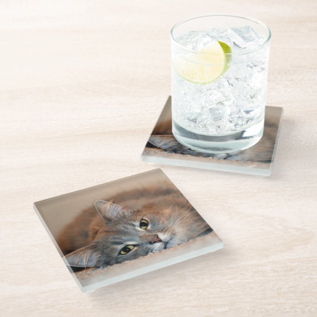 Long Haired Blue Russian Cat by Shirley Taylor Glass Coaster (Angled)