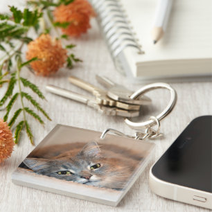 Long Haired Blue Russian Cat by Shirley Taylor Key Ring