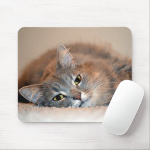 Long Haired Blue Russian Cat by Shirley Taylor Mouse Mat