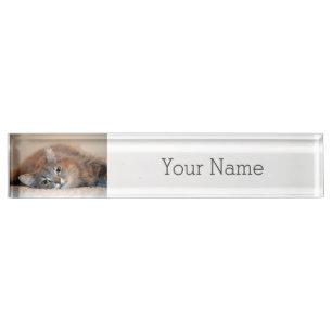 Long Haired Blue Russian Cat by Shirley Taylor Nameplate
