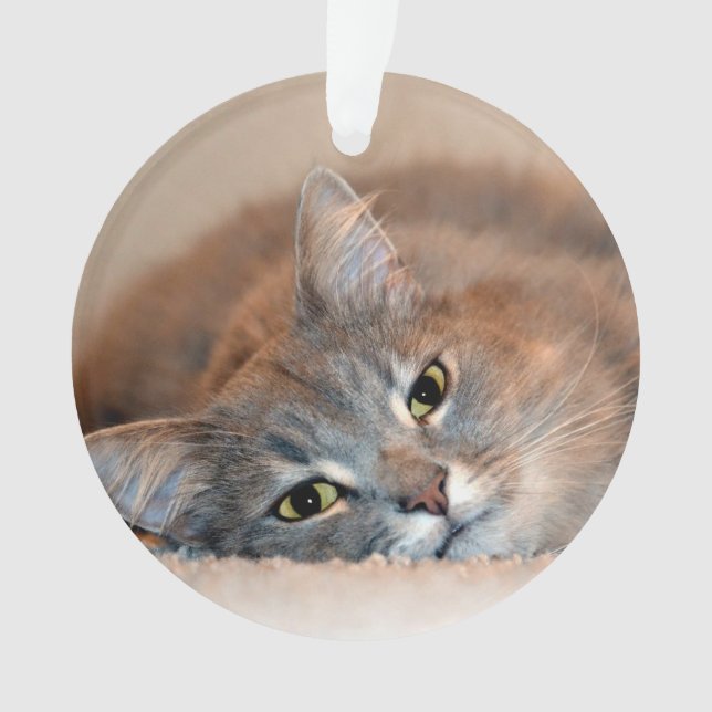 Long Haired Blue Russian Cat by Shirley Taylor Ornament (Front)