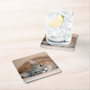 Long Haired Blue Russian Cat by Shirley Taylor Square Paper Coaster