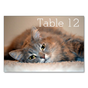 Long Haired Blue Russian Cat by Shirley Taylor Table Number
