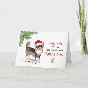 Long Haired Chihuahua Christmas From Dog in Funny Card