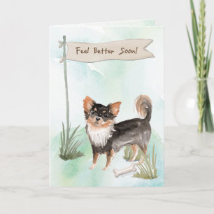 Long Haired Chihuahua Feel Better Surgery with Dog Card