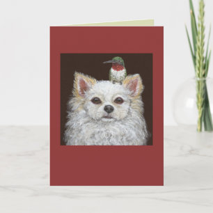 Long haired chihuahua greeting card