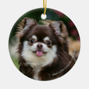 Long Haired Chihuahua Headshot 1 Ceramic Tree Decoration