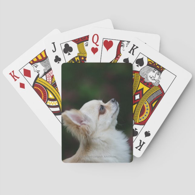 Long Haired Chihuahua Headshot 2 Playing Cards (Back)