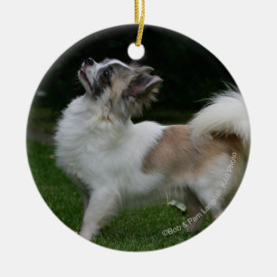 Long Haired Chihuahua Looking at Camera Ceramic Tree Decoration