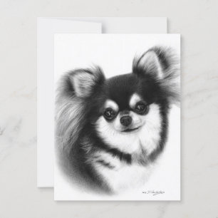 Long-Haired Chihuahua Oil Painting  Postcard