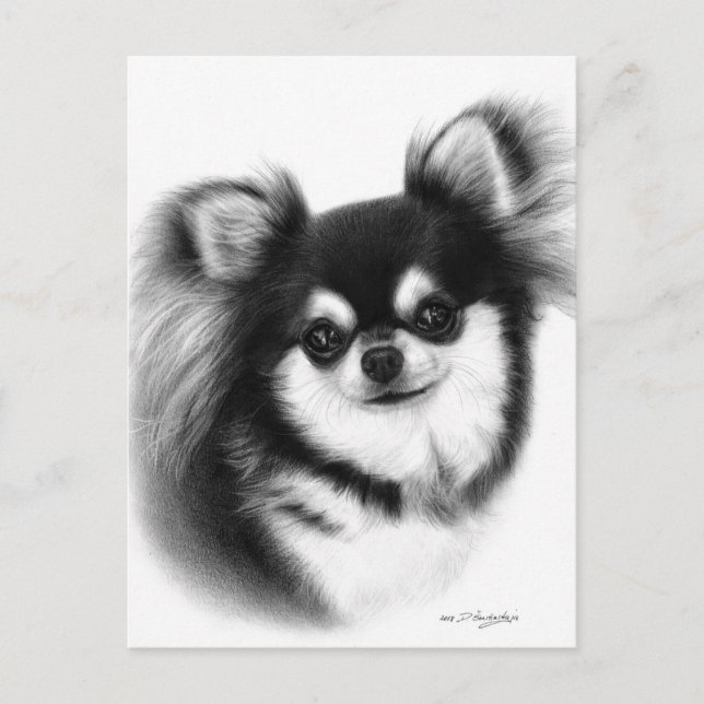 Long-Haired Chihuahua Oil Painting  Postcard (Front)