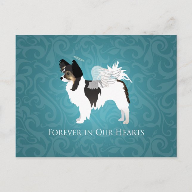 Long-haired Chihuahua Pet Memorial - Sympathy Postcard (Front)