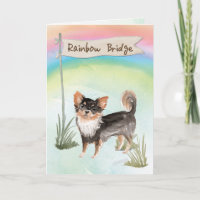 Long Haired Chihuahua Pet Sympathy Over Rainbow
