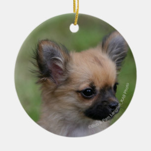 Long Haired Chihuahua Puppy Looking at Camera Ceramic Tree Decoration