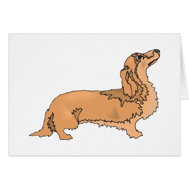 Long Haired Dachshund (Front Horizontal)