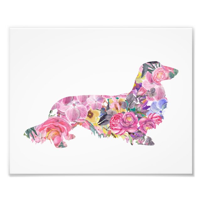 Long Haired Dachshund Photo Print (Front)