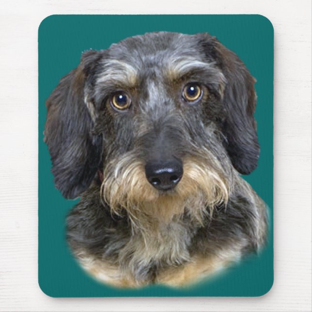 Long Haired Dachshund Portrait Gifts Mouse Mat (Front)