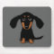 Long Haired Dachshund Puppy Cute Dog Cartoon