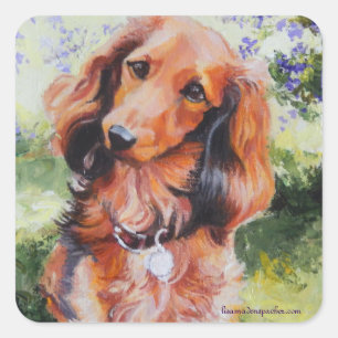 Long Haired Dachshund sticker