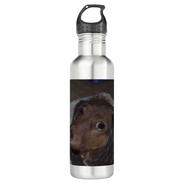 Long-Haired Dachshund Water Bottle (Front)