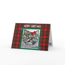 Long-Haired Exotic Cat Merry Christmas Card