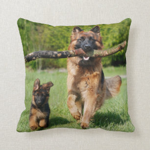 Long Haired Fluffy German Shepherd Dog and Puppy Cushion