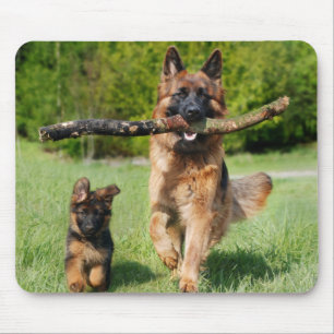 Long Haired Fluffy German Shepherd Dog and Puppy Mouse Mat