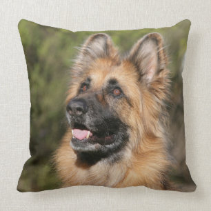 Long Haired German Shepherd 1 Cushion