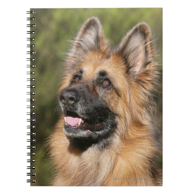Long Haired German Shepherd 1 Notebook (Front)