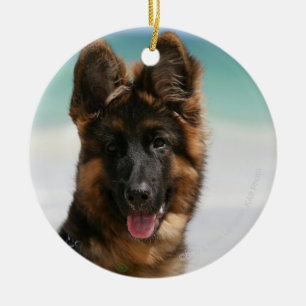 Long Haired German Shepherd Beach Ceramic Tree Decoration