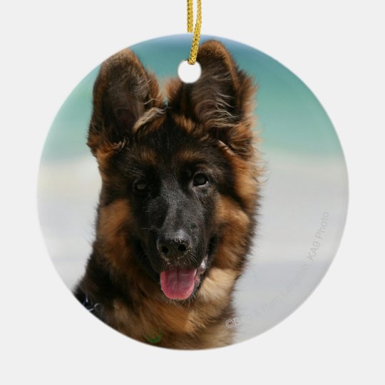 Long Haired German Shepherd Beach Christmas Ornament Zazzle Co Uk