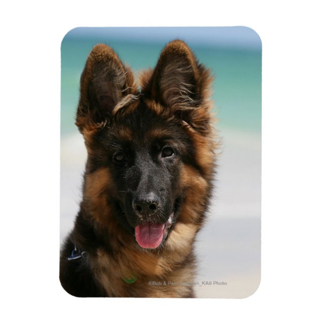 Long Haired German Shepherd Beach Magnet (Vertical)