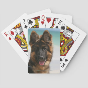 Long Haired German Shepherd Beach Playing Cards