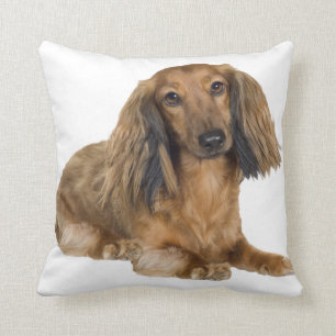 Long Haired Gold Dachshund Pillow