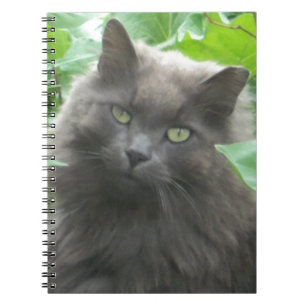 Long Haired Gray Russian Blue Cat Notebook
