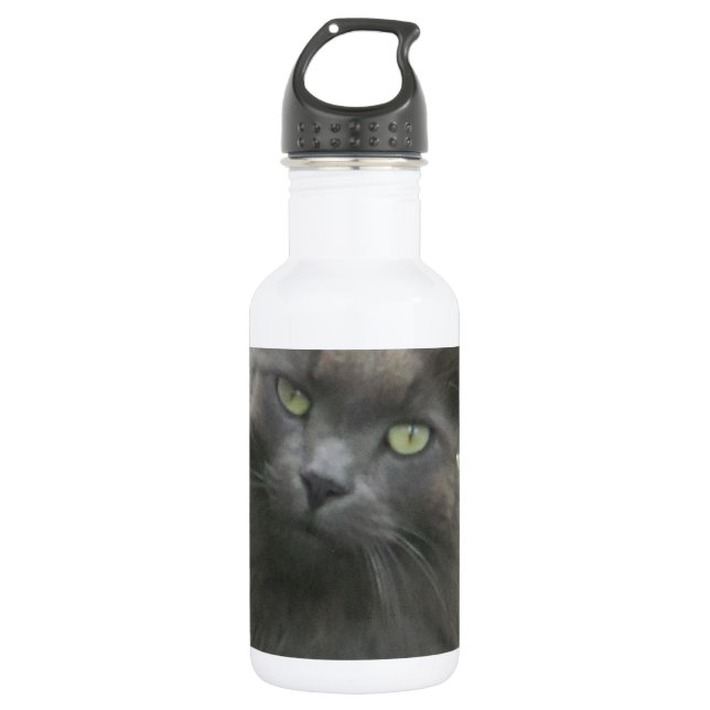 Long Haired Grey Russian Blue Cat 532 Ml Water Bottle (Front)