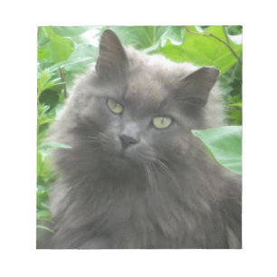 Long Haired Grey Russian Blue Cat Notepad