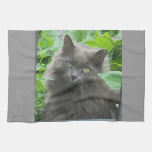 Long Haired Grey Russian Blue Cat Tea Towel