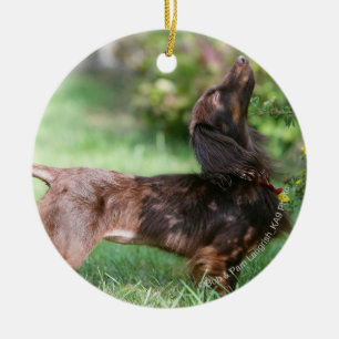 Long-haired Miniature Dachshund 1 Ceramic Tree Decoration