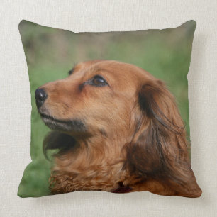 Long-haired Miniature Dachshund 2 Cushion