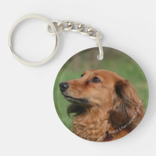Long-haired Miniature Dachshund 2 Key Ring