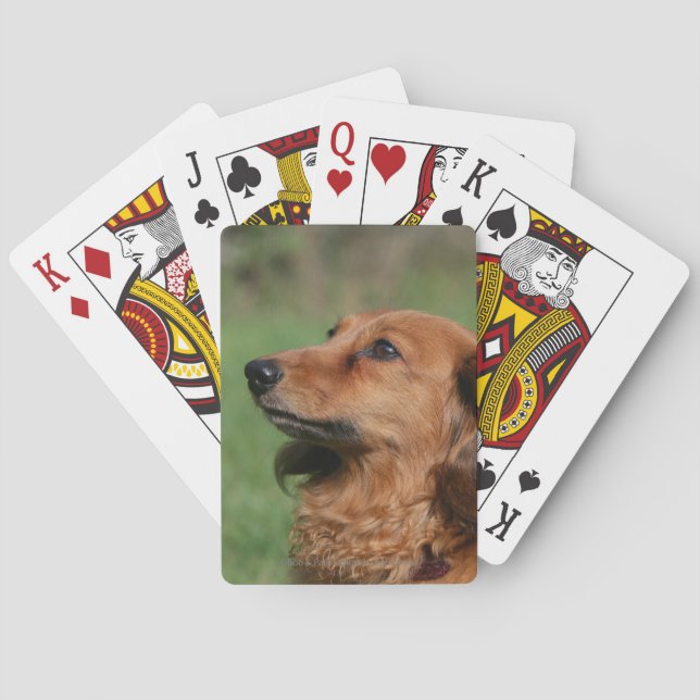 Long-haired Miniature Dachshund 2 Playing Cards (Back)