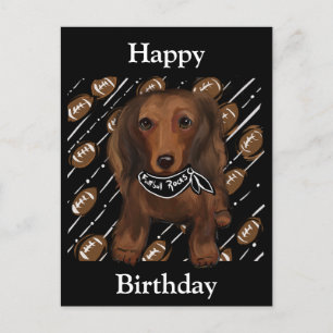 LONG HAIRED RED DOXIE         POSTCARD