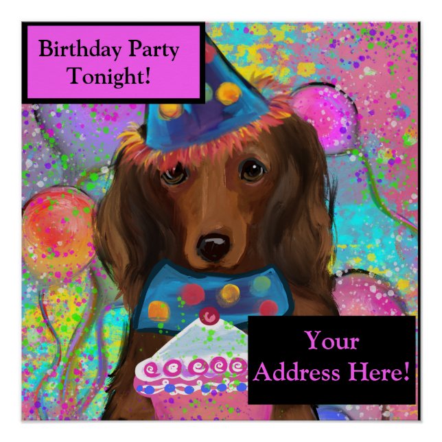 LONG HAIRED RED DOXIE         POSTER (Front)