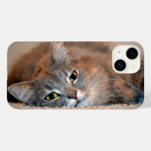 Long Haired Russian Blue Cat by Shirley Taylor Case-Mate iPhone 14 Case