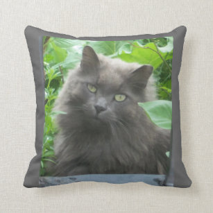 Long Haired Russian Blue Cat Home Furnishings Accessories
