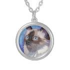 Long-haired Siamese Himalayan Cat