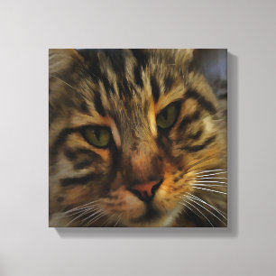 Long Haired Tabby Cat Artistic Pet Portrait v2 Canvas Print