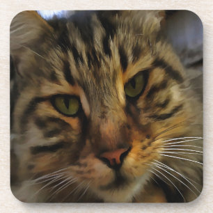 Long Haired Tabby Cat Artistic Pet Portrait v2 Coaster